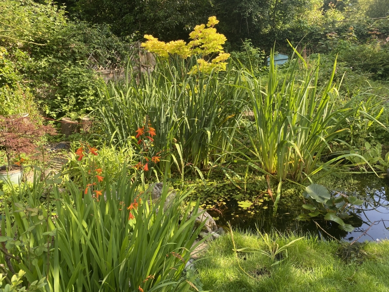 Meadow Cottage